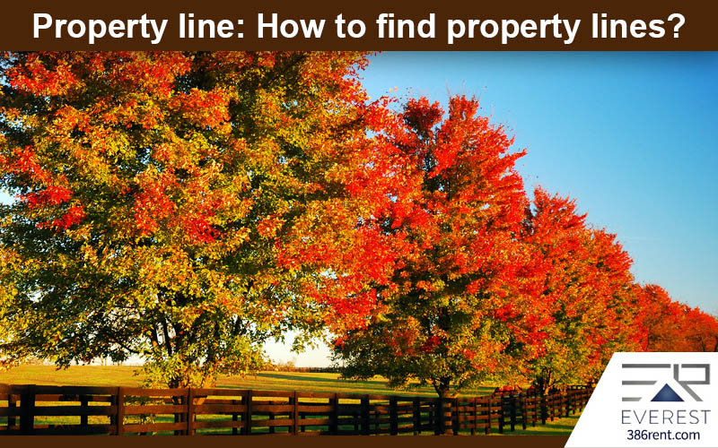 Property Management Blog